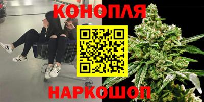 амф Лесосибирск