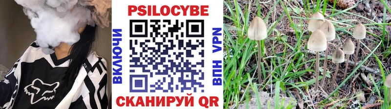 Псилоцибиновые грибы ЛСД  Оренбург 