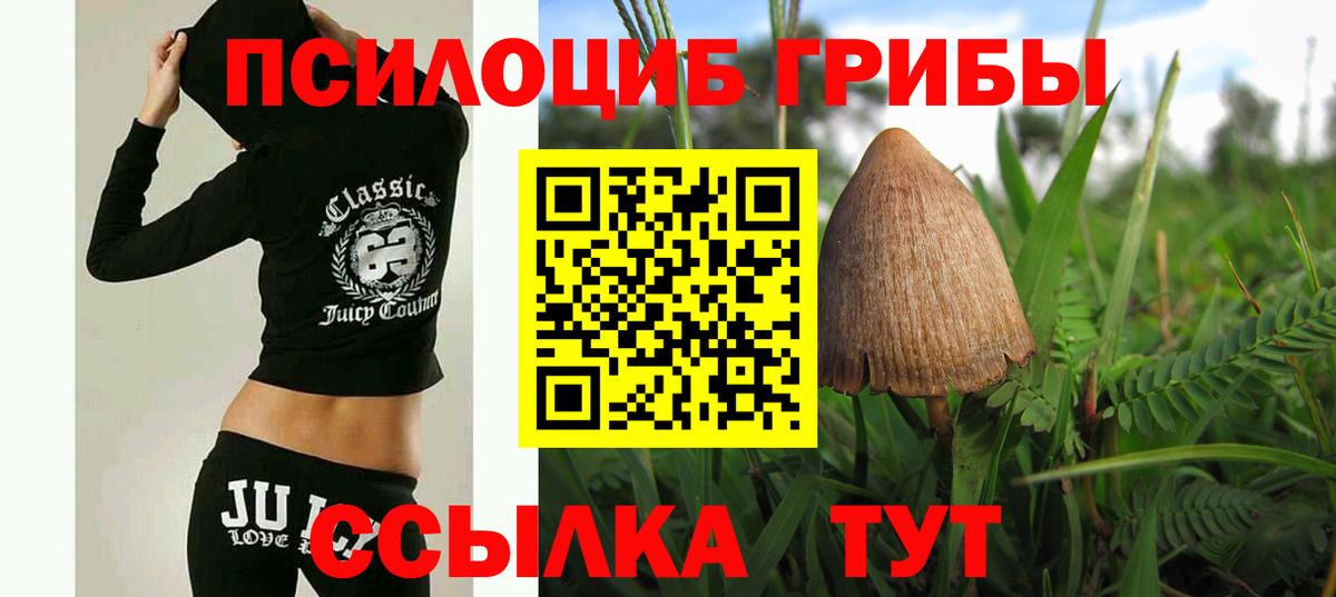 Псилоцибиновые грибы MAGIC MUSHROOMS Оренбург